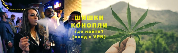 бошки Богданович